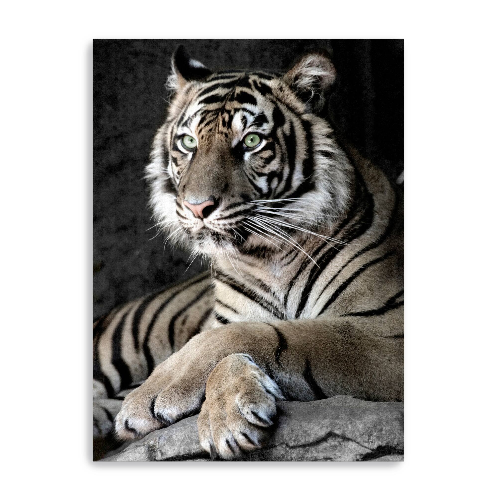 Sumatran Tiger Canvas Giclee